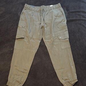 Banana Republic Olive Joggers
